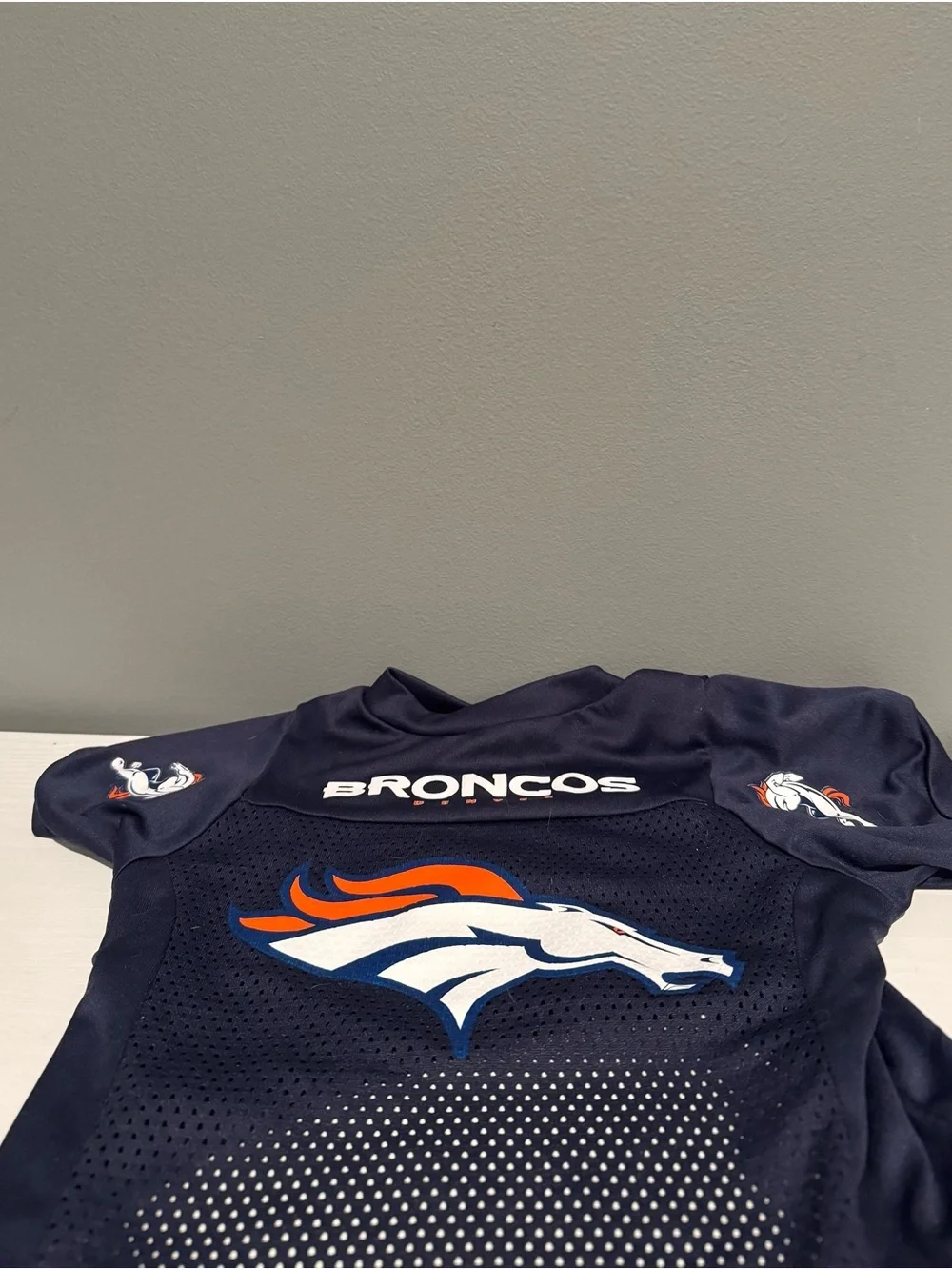 Denver Broncos Dogs Football Jersey with Team Logo